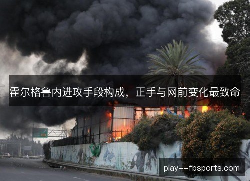 霍尔格鲁内进攻手段构成,正手与网前变化最致命 霍尔格鲁内进攻手段构成,正手与网前变化最致命
